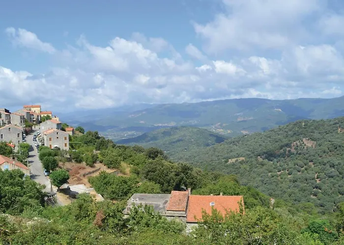 Beautiful In Daire *